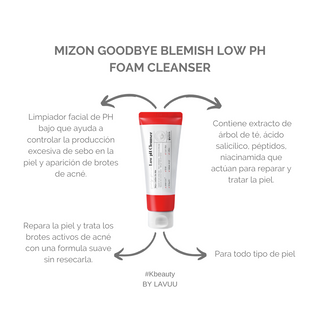 Mizon Goodbye Blemish Low Ph Foam Cleanser